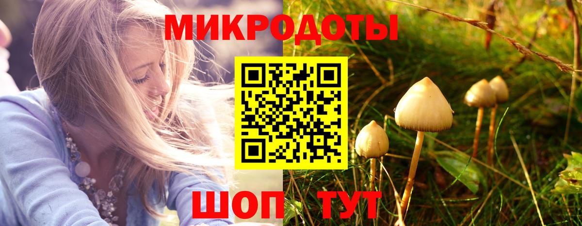 Псилоцибиновые грибы Psilocybe Дзержинский